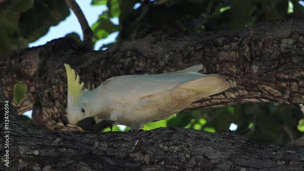 This video is about Tropical Queensland This video is about Tropical Queensland