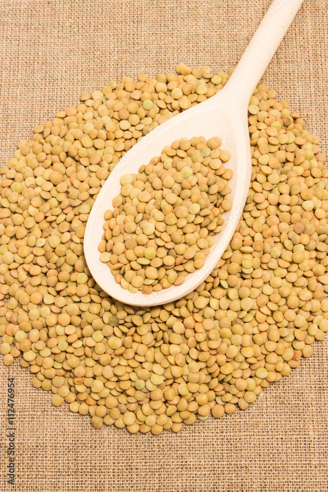 the seeds of green lentils on a canvas the seeds of green lentils on a canvas