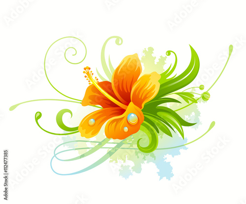 Orange hibiscus flower