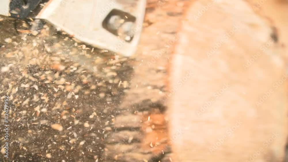Cutting through wood with chainsaw in slow motion.