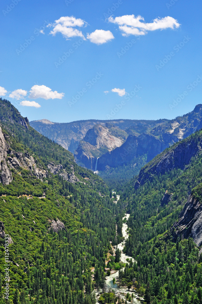 California: ruscello nel Parco nazionale dello Yosemite il 16 giugno 2010. Lo Yosemite National Park è noto per le sue scogliere di granito, le cascate, i boschi di sequoia e la diversità biologica