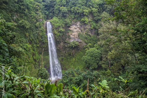 Tropical Waterfall