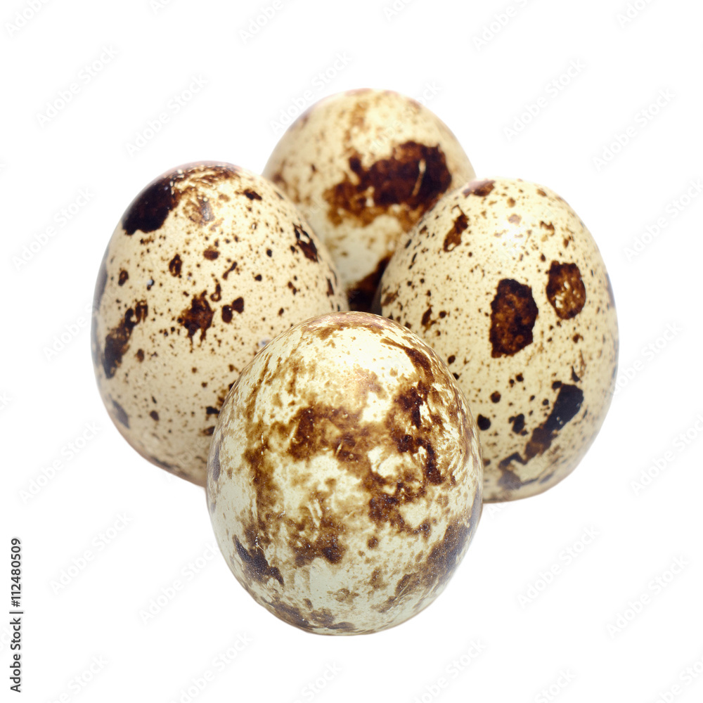 quail eggs quail eggs