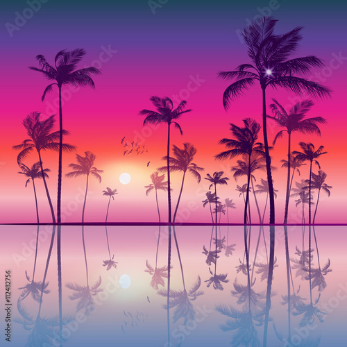 Exotic tropical palm trees at sunset or sunrise, with colorful