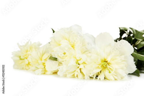 Bouquet of white peony flowers isolated on a white