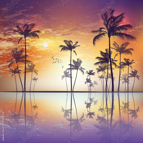 Fototapeta Naklejka Na Ścianę i Meble -  Exotic tropical palm trees  at sunset or moonlight, with cloudy