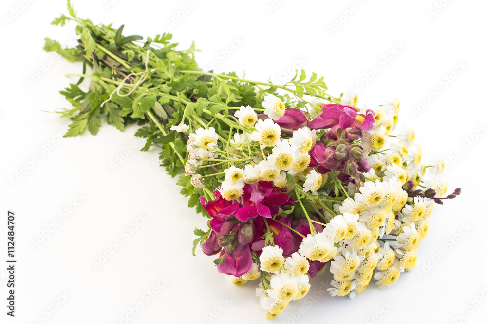 Bouquet of Small Daisies and Snapdragon