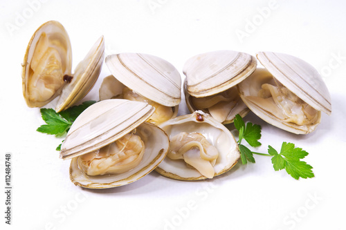 Obraz na płótnie isolated clams