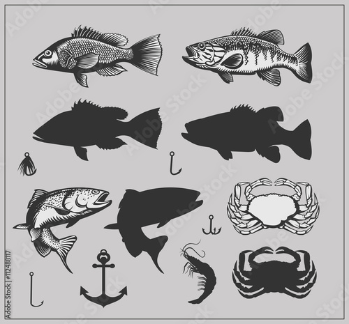 Fishing set. Fish and Fishing equipment.