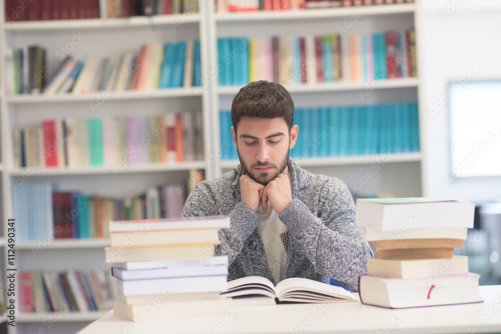 portrait of student while reading book in school library portrait of student while reading book in school library