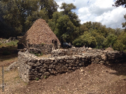 shephed hur in sardinia, italy photo