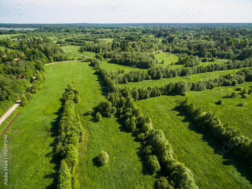 Aerial view of Karelia forest 