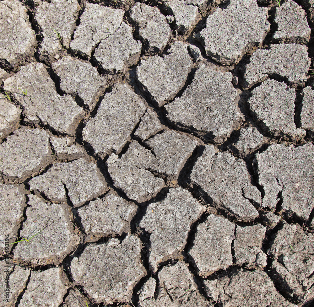 Obraz premium Dry soil with dramatic cracks caused by the lack of water