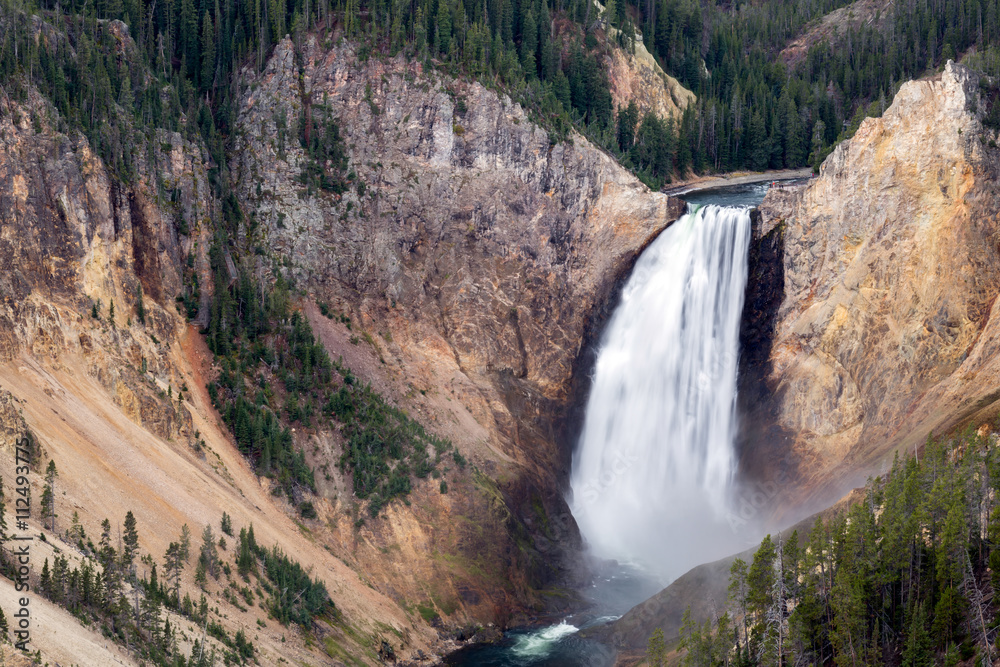 Lower Yellowstone Falls