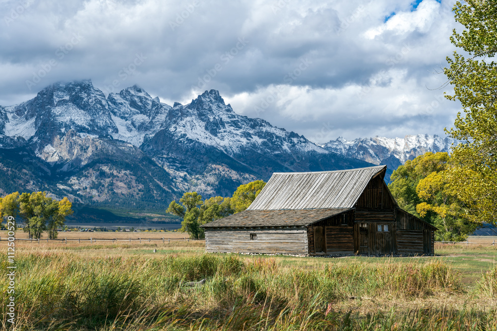 Obraz premium Mormon Row