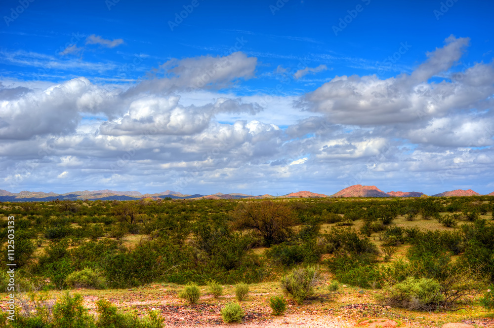 Sonora Desert Arizona