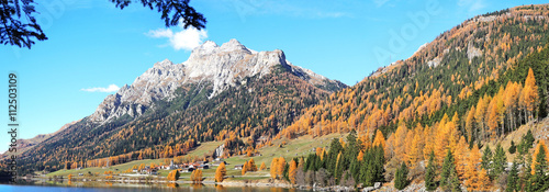Splugen- Sufers - Switzerland - Autumn trees       photo