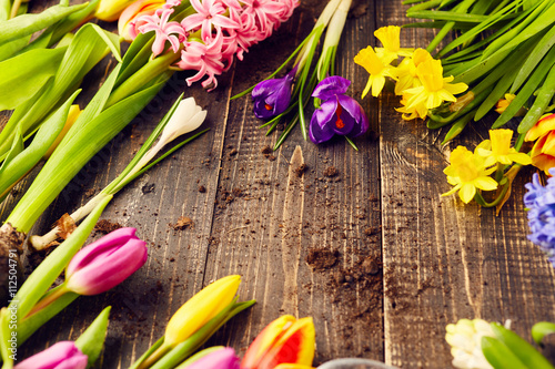 Spring flowers. Gardening