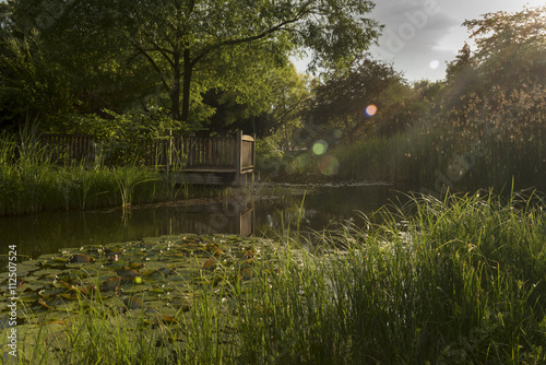 Woodn platform at park pond