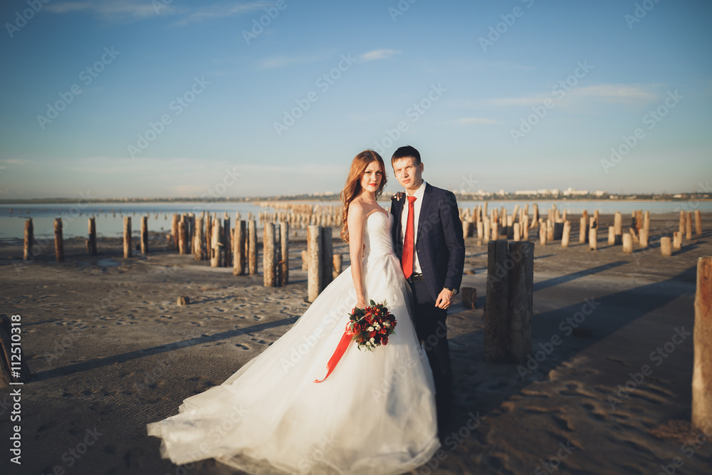 Elegant stylish happy wedding couple, bride, gorgeous groom on the background of sea and sky Elegant stylish happy wedding couple, bride, gorgeous groom on the background of sea and sky