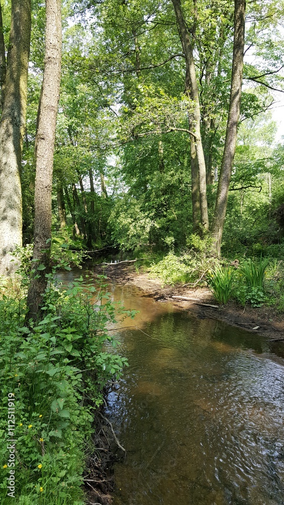 Strumyk