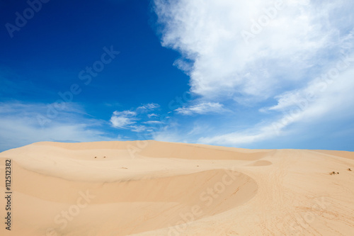 Fototapeta Naklejka Na Ścianę i Meble -  Barkhan in a desert