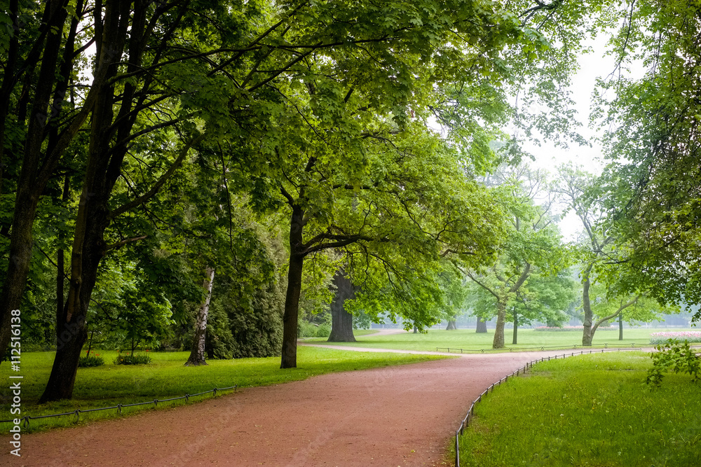 Fototapeta premium Kirov central park in misty cloudy morning