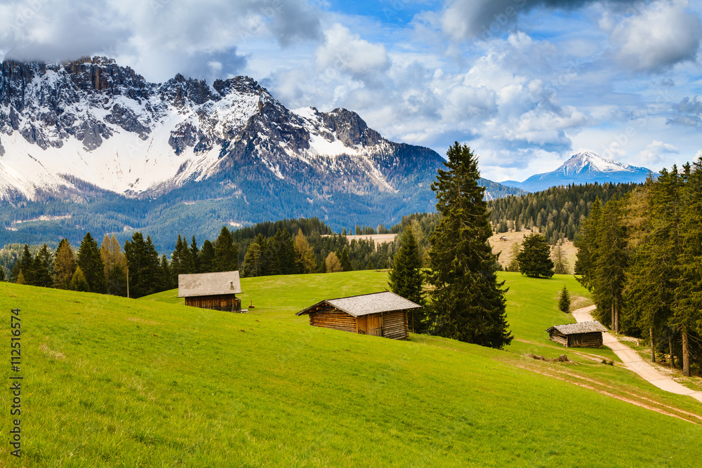 Beautiful green meadow with the Alps in the background.
