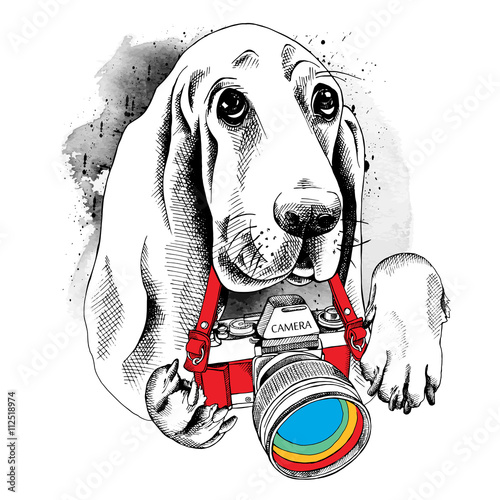 The poster with the image of the dog with the camera. Vector illustration.