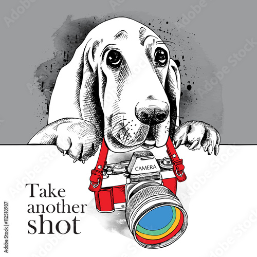 The poster with the image of the dog with the camera. Vector illustration.