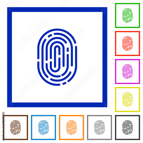 Fingerprint framed flat icons