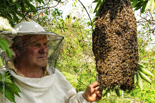 Bee keeper with a swarm of bees