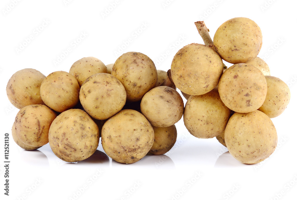 Wollongong on white background