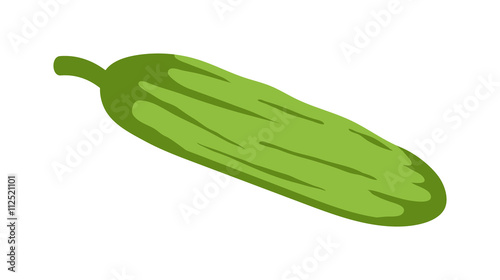Vegetable marrow vector illustration.