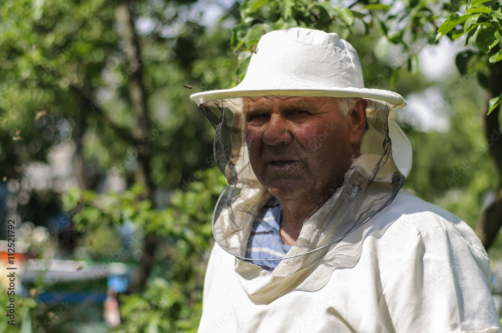 Beekeeper is working on the apiary