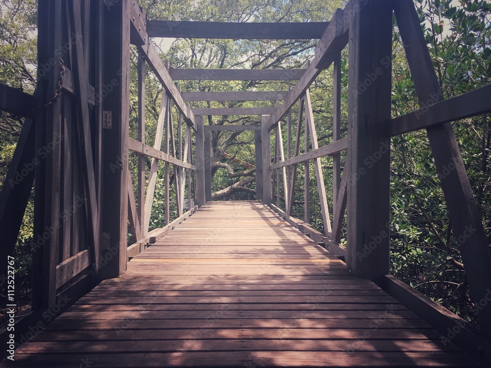 Walkway to nature Walkway to nature