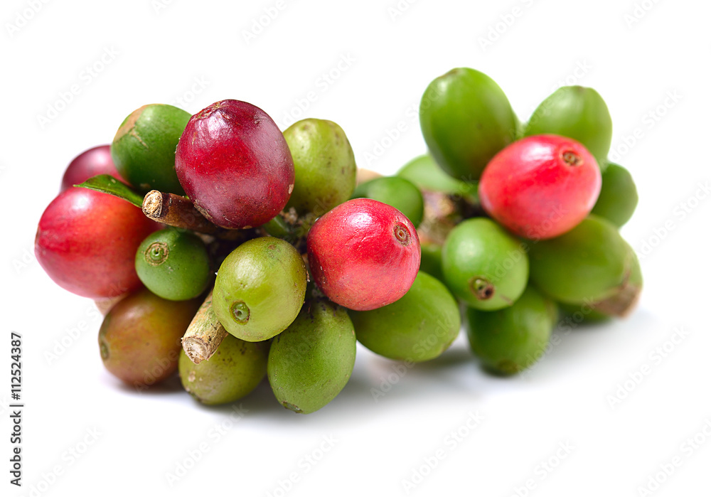 Coffee beans isolated on white background. Coffee beans isolated on white background.