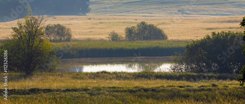 Landschaft in einem Naturschutzgebiet in Brandenburg bei Biesenthal photo