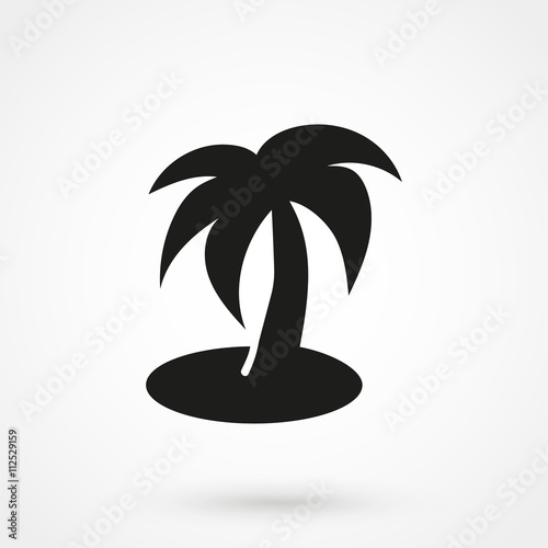 palm tree icon