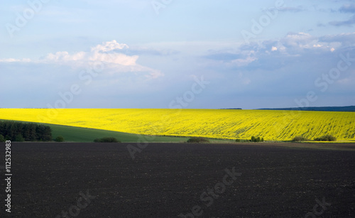 Agricultural landscape in Ukraine
