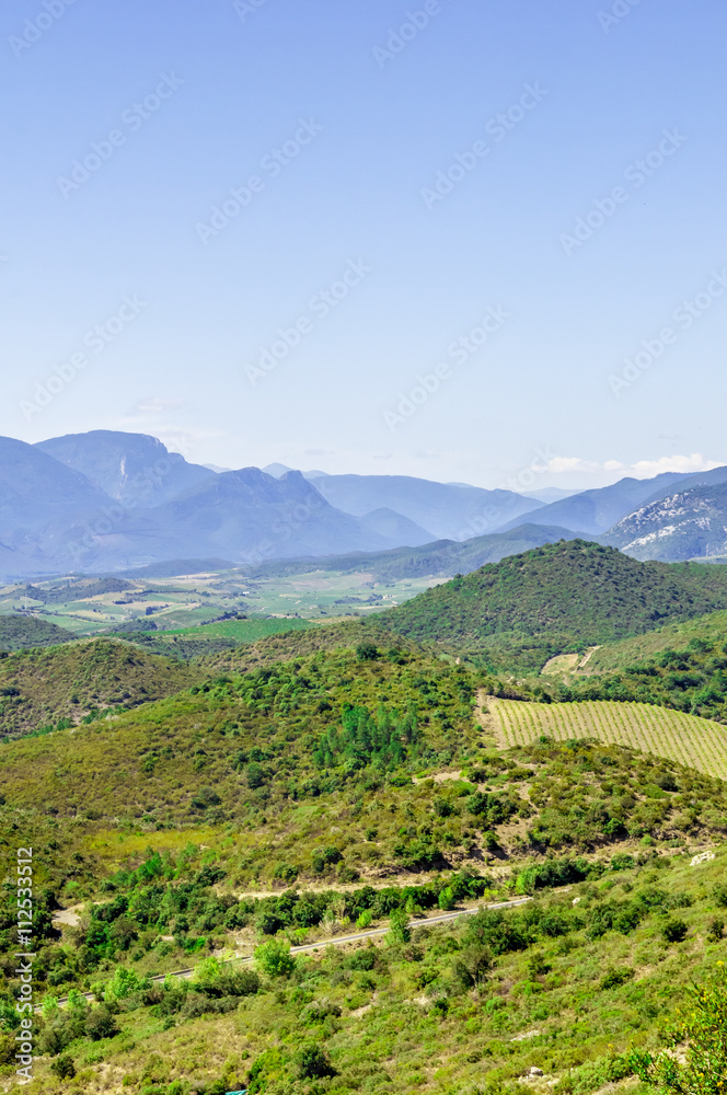 Fototapeta premium Peyrepertuse cathar castle
