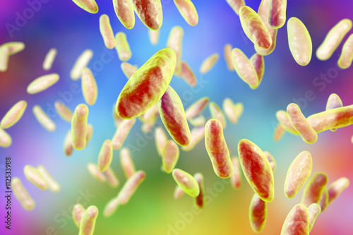 Brucella bacteria, 3D illustration. Gram-negative pleomorphic bacteria which cause brucellosis in cattle and humans and are transmitted to man by direct contact with ill animal or by contaminated milk photo