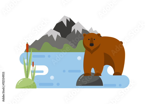 Cartoon bear vector illustration.