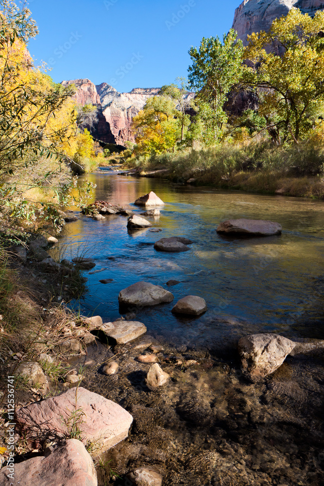 View from the bank of the Virgin River View from the bank of the Virgin River