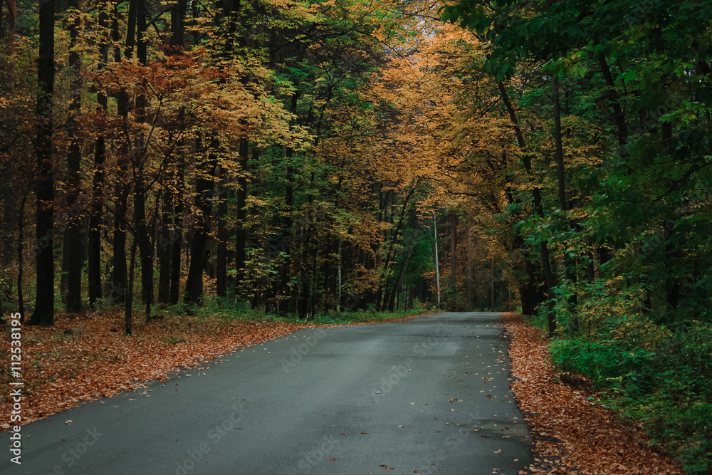 Autumn empty road