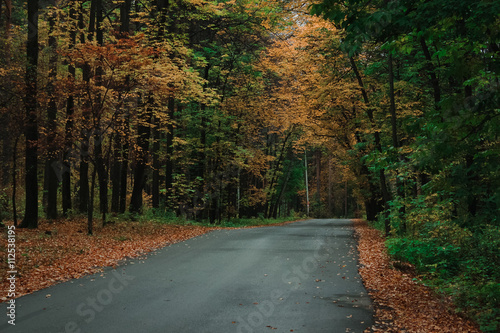 Autumn empty road