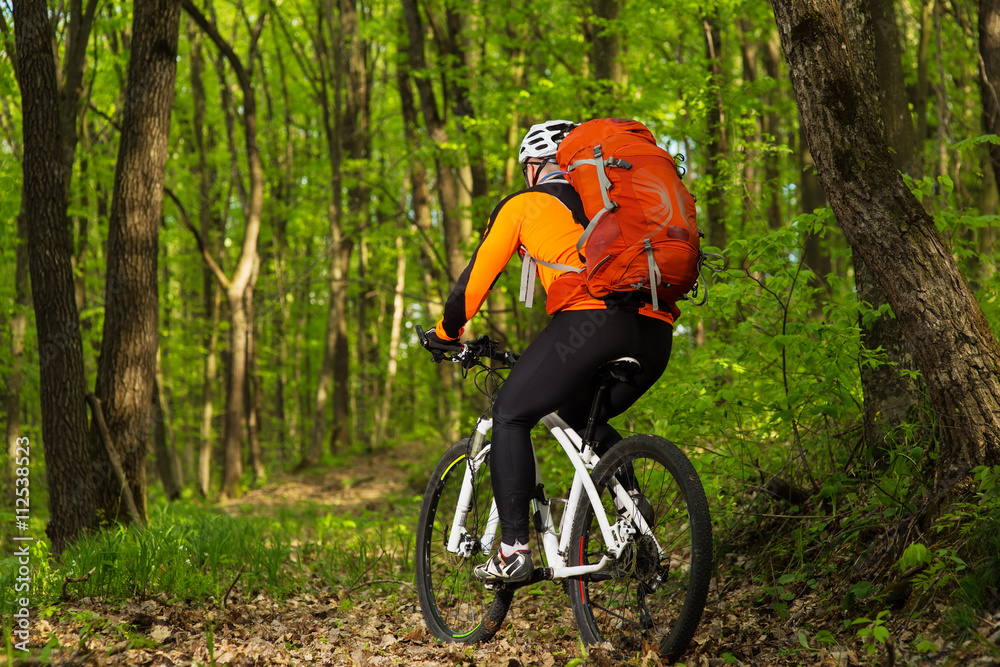 Fototapeta premium Man bikes in the green forest