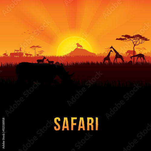 Vector illustration of Africa landscape with wildlife and sunset background. Safari theme