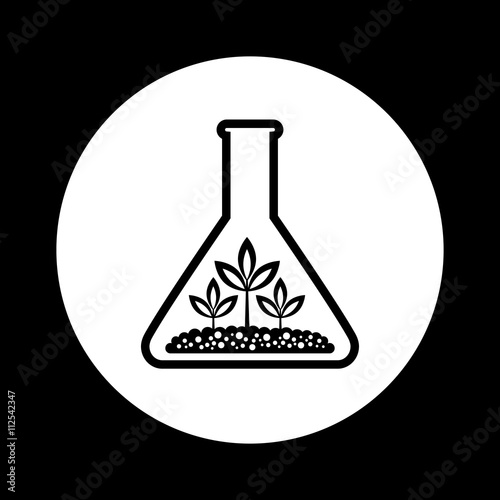 Plant in laboratory glass