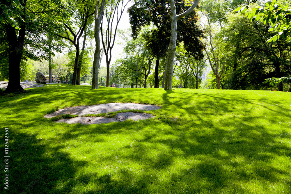 Obraz premium 新緑の公園